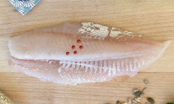 La Criée d'à Côté - Filets d'Eglefin | Lot de 1 Kg