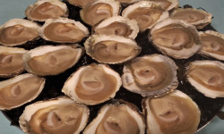 Aux Viviers de Penfoulic - Huitres Plates N°2 - 4 Douzaines