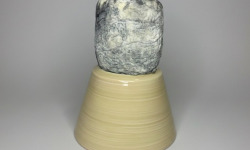 Ferme de la Limaye - Fromage de chèvre sec bleu lot de 2x 90g