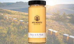 Apis Montis - Trésor de la Ruche - Miel de Lavandin - Seau de 3kg