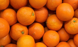 LES VERGERS DE BRAVONE - Orange demi-sanguine Bio Corse 5kg