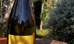 Domaine Giroflet - Piquepoul de Giroflet - 6 bouteilles