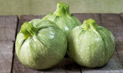 La Boite à Herbes - Courgette Ronde - 1kg