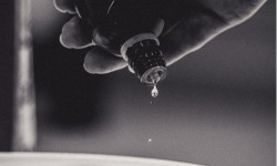 La Ferme d'Alcas - [Précommande] LOT DE 10 YAOURTS CITRON - BERGAMOTE 400g