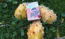 LES JARDINS DE KARINE - Kiwano/Concombre africain - 1kg