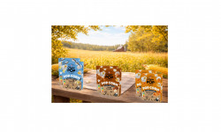 Grain Pop - Maïs popcorn micro-ondable- lot sucré : Caramel, vanille et cacao