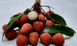 La Boite à Herbes - LITCHI BRANCHE BIO MADAGASCAR 400 G