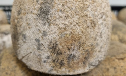 La Finarde - boulet de Cassel