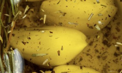 L’Oliveraie du Coudon - Ail confit au curry – Pot 345 g