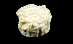 La Borderie de Soulages - Lot fromage de chèvre fermier Mimi entre deux  par 5