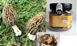 L'Agricueilleur du Suzon - Morilles françaises Bio brisures