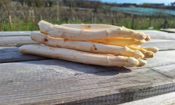 Le Châtaignier - Asperges - 5 kg