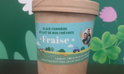 Les Pâturettes de Bodavel - Glace Fraise 480ml