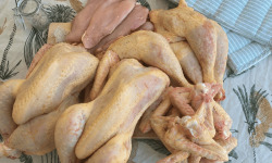 Ferme des Gravelines - Lot « Le Poulet du Dimanche » - poulet fermier BIO