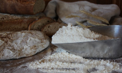 Le Verger de Crigne - Farine petit-épeautre - 1kg