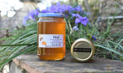 La Truite du Mézenc - Miel de Lavande liquide - 500g