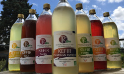 TK Bio - The Kefir et Kombucha Compagnie - Pack Kombucha 3 x 1 litre BIO