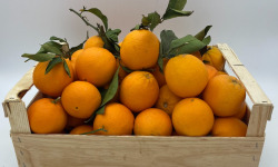 Le Panier du Producteur - Orange - 1 Kg