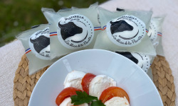 L’Echo Paysan - Mozzarella de bufflonne - 5x125g
