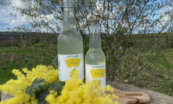 Ferme Sinsac - Pétillant  de Mimosa sans alcool en 33 cl x 6 bouteilles
