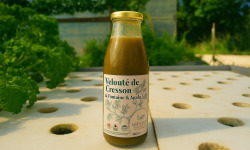 Nature et Saveurs - Ferme Aquaponique et Permacole Astérienne - Velouté de Cresson
