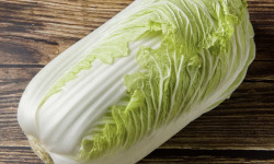 L'OLIVERAIE DU COUDON - CHOUX CHINOIS