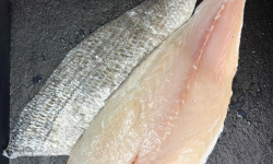 L'atelier des poissonniers - Filets de daurade royale 300g