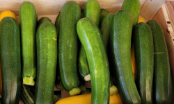 Le Pré de la Rivière - Courgettes vertes bio 800g - Origine France