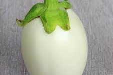 Les Jardins de Mondpa - aubergine blanche