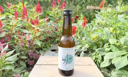 Nature et Saveurs - Ferme Aquaponique et Permacole Astérienne - Kombucha Brut Bio Bysco - 33cl