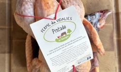 Ferme du Vidalies - Pintade 1,6kg