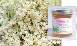 L'Agricueilleur du Suzon - Gelée de sureau Bio