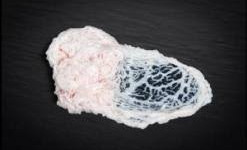 Domaine du Chillou - Crepine de porc mangalica Bio