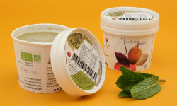 Le Jardinier Glacier - Glace végétale Menthe - 140ml X2