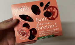 Agriloops - Tomates cerises allongées – Barquette 250 g