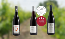 Domaine de la Chopinière du Roy - Coffret cadeau "A la découverte des vins rouges de Loire "- 3 x 75 cl