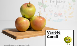 La Ferme des Prun'Elles - pomme Corail