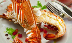 La Criée d'à Côté - Langouste Rouge Cuite - 800g