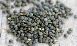 La Ferme des Ecureuils - Lentilles vertes Bio – 5000g