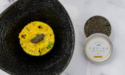 Caviar de l'Isle - Caviar Osciètre Français Lot de 10 boîtes de 30g - Caviar de l'Isle