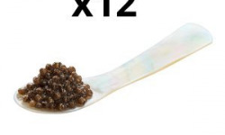 Caviar de Neuvic - Lot de 12 cuillères en nacre 5 cm