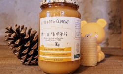 Les Butineuses de Champigny - Miel de Printemps BIO - 1000g