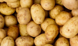 Maréchal Fraicheur - Pommes de terre Marabel BIO - 1 kg