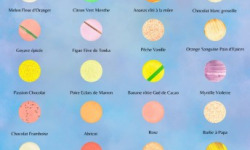 Les Macarondises - 420 macarons sucrés (1 à 12 parfums au choix)