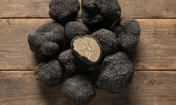 Plantin - L'art de la truffe depuis 1930 - Truffes de Bourgogne entières, fraîches