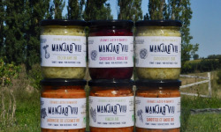 Manjar Viu : Légumes lacto fermentés - Lot de 6 pots de 400g de Légumes Bio - lacto-fermentés