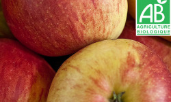 Mon Petit Producteur - Pomme Bio Boskoop - 3kg