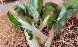 Les Jardins de Gérard - Feuilles de Blette Bio - 500 g