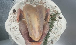 La Ferme Durbois - Pintade fermière  - La Touche 1,9 kg