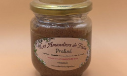 Les Amandiers de TinTin - Praliné 150g